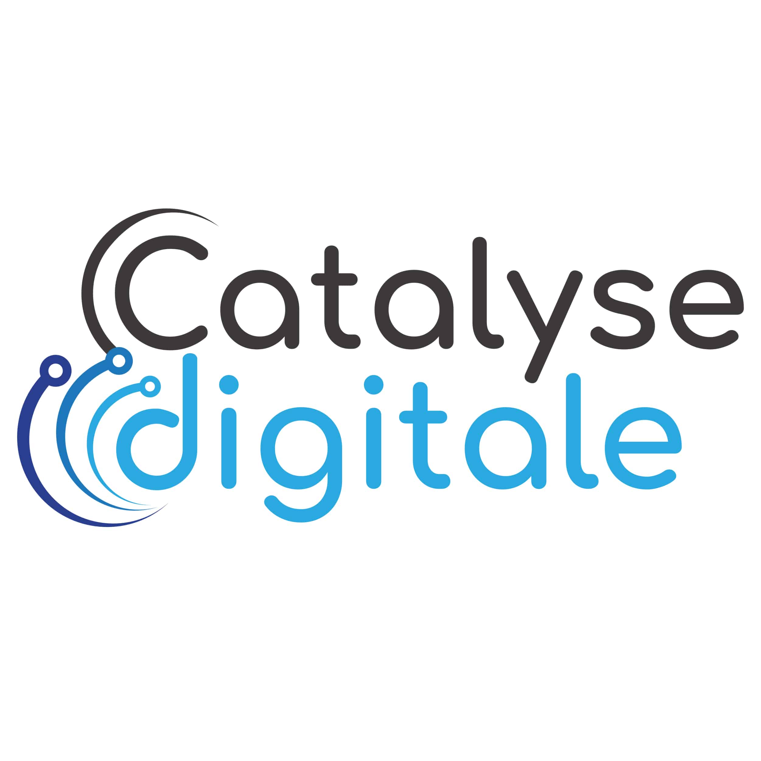 logo catalyse digitale